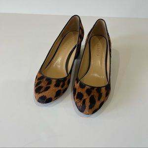 Talbots animal print calf hair shoes size 7,5, block heel 2” excellent condition